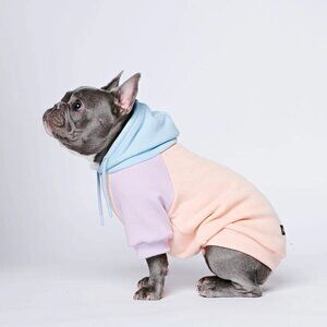 Sparkpaws Cotton Candy Dog Hoodie